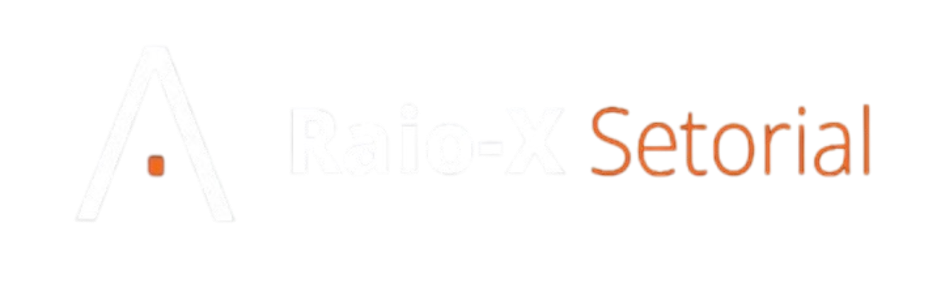 Logo Raio-X Setorial